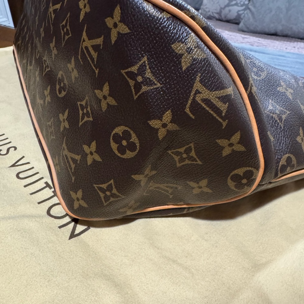 Louis Vuitton Delightful GM - Picture 9 of 16